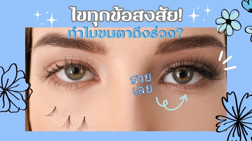 ไขทุกข้อสงสัย! ทำไมขนตาถึงร่วง? เจาะลึก “วงจรการหลุดร่วงของขนตา”