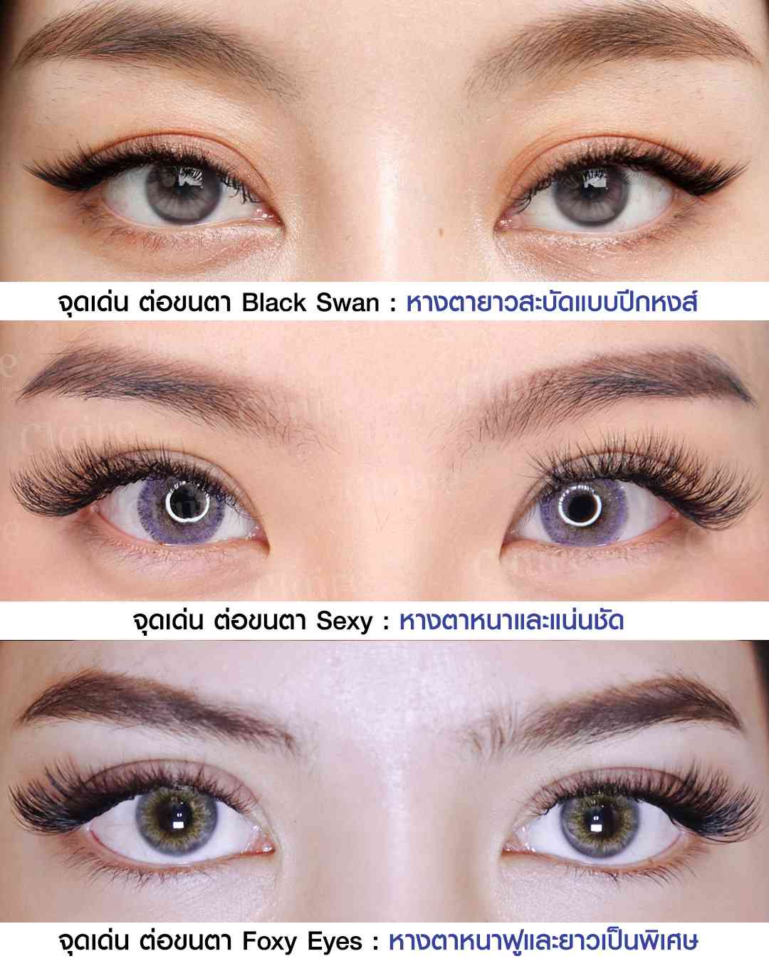 ความต่างของต่อขนตา Black Swan,ต่อขนตา Sexy,ต่อขนตา Foxy Eyes